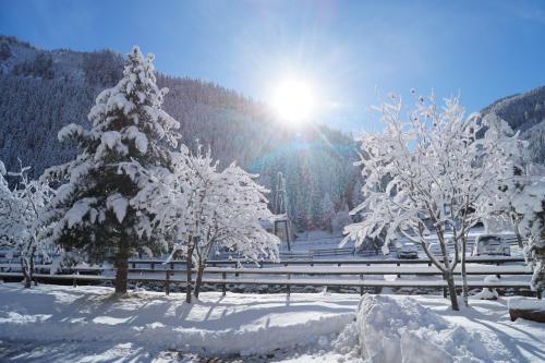 Ski- und Wander Appartements Schiffer