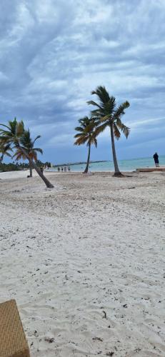 Apto estudio en Punta Cana, vista a la pisicina Apto estudio en Punta Cana, vista a la pisicina