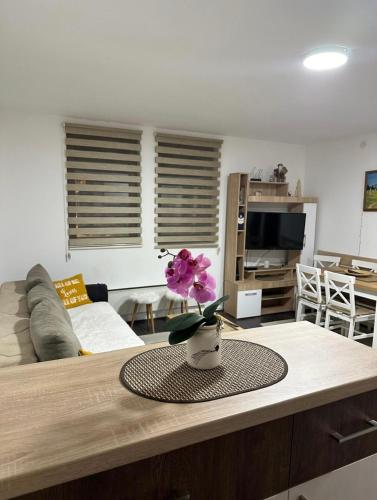 Sunčani breg apartman 7 - Apartment - Raška