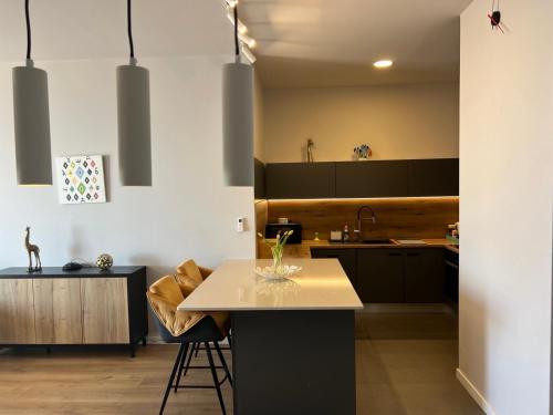 Three-Bedroom Deluxe Apartment image 6