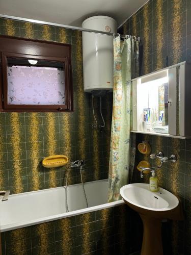 Kamar Mandi, Apartman Ristić (Apartman Ristic) in Pirot