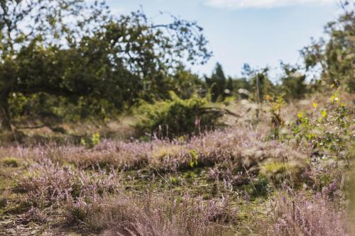 A környék, Bij de Buurman in Buurtschap Giethmen