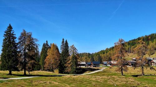 สภาพแวดล้อมโดยรอบ, Wiedehopf in รัทเทนดอร์ฟ