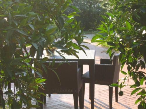 Al Melograno - Room & Breakfast - image 13