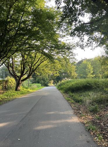 Nordic Cosy Retreat Nordic Cosy Retreat