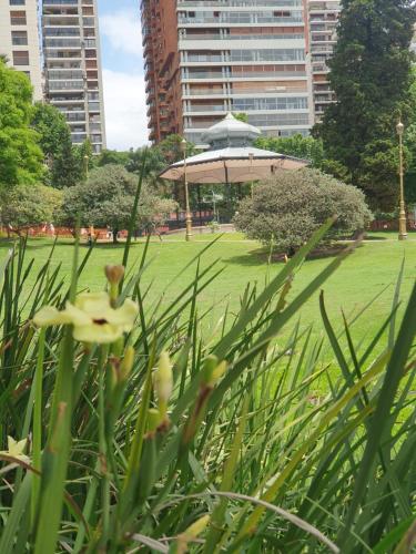 Surrounding environment, Oh Barrancas in Belgrano