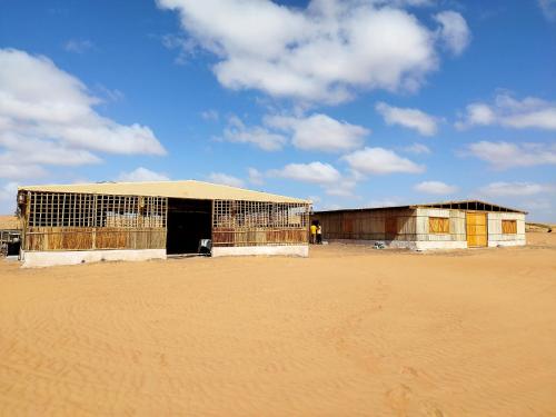 Sands Dream Tourism Camp in A'Sharqiyah Sands (Wahiba)