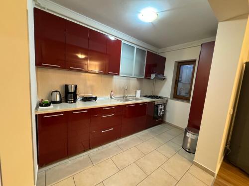 Apartment in the Villa Northern Dreams #2 PARKING INCLUDED IN PRICE, Timişoara (Foto 6)