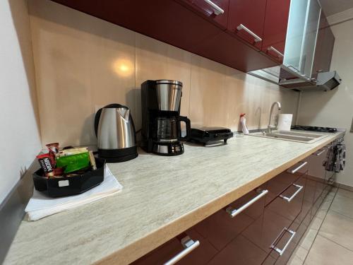 Apartment in the Villa Northern Dreams #2 PARKING INCLUDED IN PRICE, Timişoara (Foto 5)