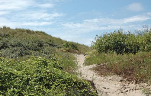 Aphrodite - image 7