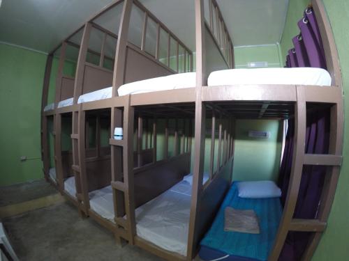10 bunk beds