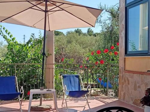 Il giardino degli ulivi in 特拉比亞