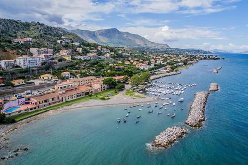 Il giardino degli ulivi in 特拉比亞