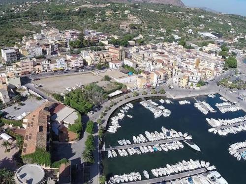 Il giardino degli ulivi in 特拉比亞