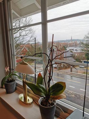 Solrikt med kort avstand til byen in Sandefjord