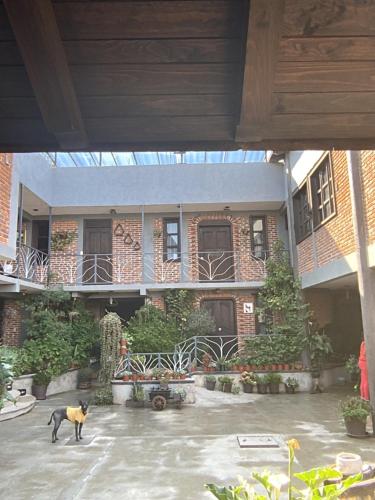 Hotel las carretas , spa y temazcal in Col Centro Cuatilulco