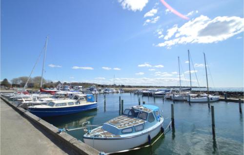 Havnehusene, Lejl, 33 Havnehusene, Lejl, 33