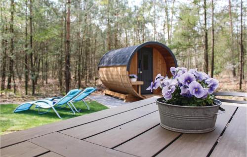 Reehut, Ommen (zdjęcie 3)