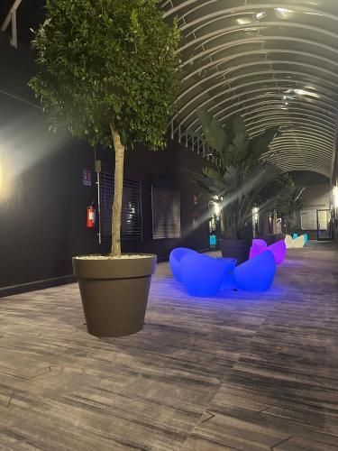 陽台/露台, HOTEL ROYAL in 法恩扎