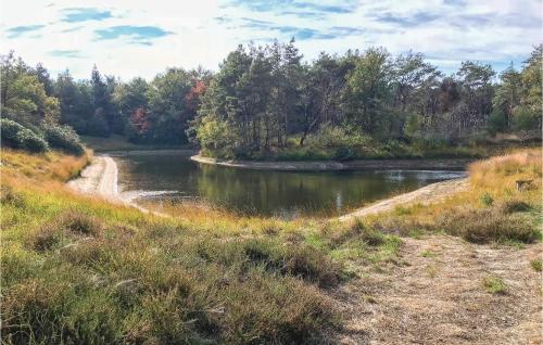 Boszicht - main image