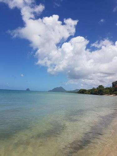 Anse à l'Ane - Spacieux T2 - Vue d'exception