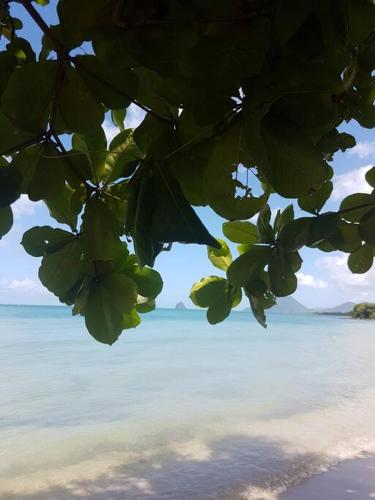 Anse à l'Ane - Spacieux T2 - Vue d'exception