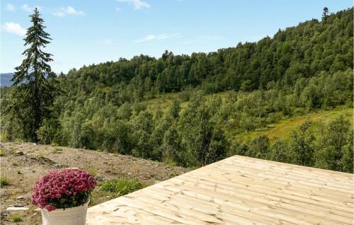 Vedere exterior, Nice Home In Rauland With House A Mountain View in Rauland