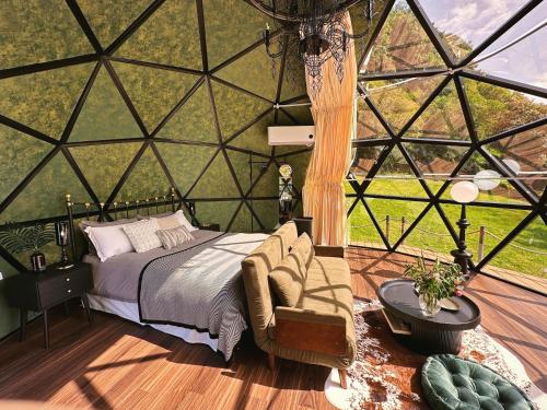 Stellar Glamping Auckland, Окленд (фото 8)