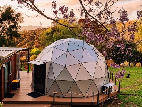 المنظر الخارجي, Stellar Glamping Auckland in باباكورا