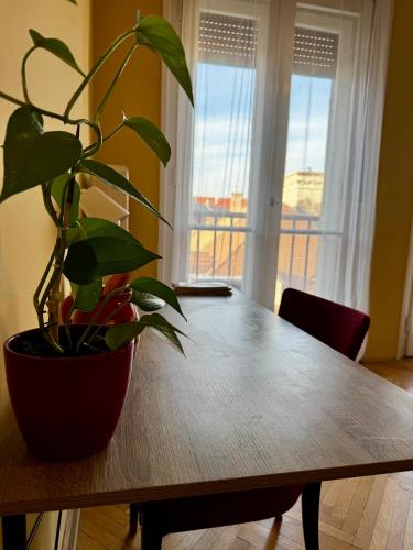 Extralarge Queen Room in the Heart of Bratislava with Terrace, Братислава (фото 7)