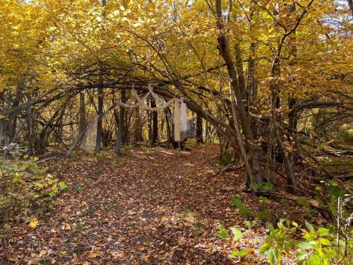 Angies Country Cabins Bed & Breakfast in Fredonia, USA