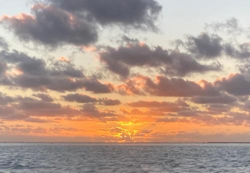 Maupiti Pension Taputea in 마우피티 섬