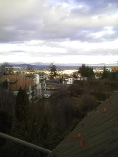 Pension Stejeris - image 8