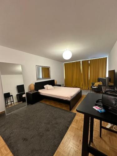 Appartement Confort, Vue sur le Lac, Ženeva (fotografie 6)
