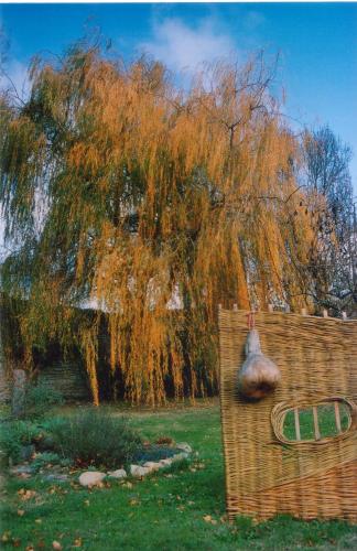 Abbaye de Villelongue