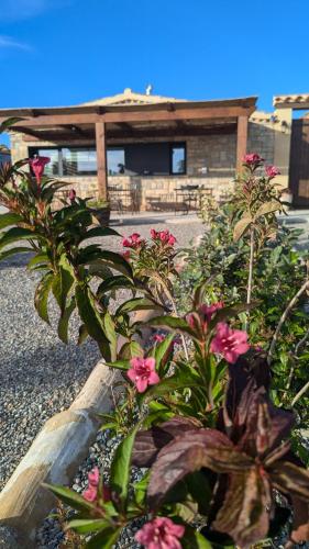 MASIA CLOTATS MASIA CLOTATS