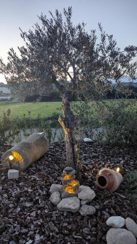 MASIA CLOTATS MASIA CLOTATS