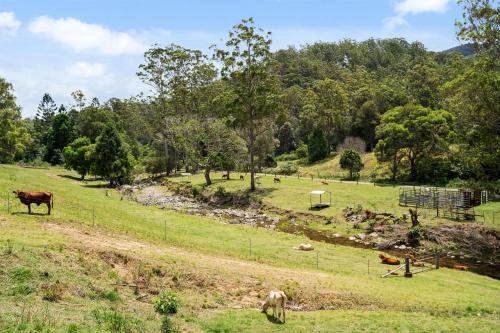 Bellbird Rise Off-Grid Cottage