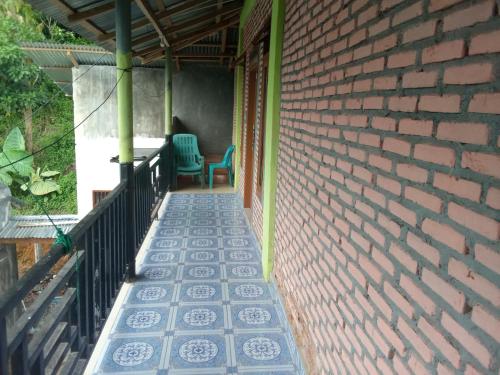 jungle trekking& jungle tour only stay here if you are and you must booking jungle trekking with us  in Bukit Lawang