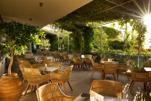 Mediterranee - image 13