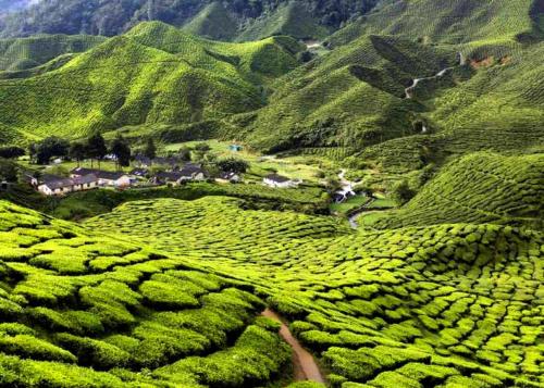 Közeli látványosságok, ARK RAWANG BUSINESS HOTEL in Rawang