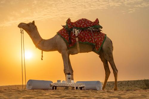 Marugarh Camp and Resort Jaisalmer