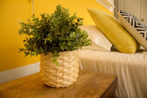 INT Lisbon Suites – Lisbon, NY