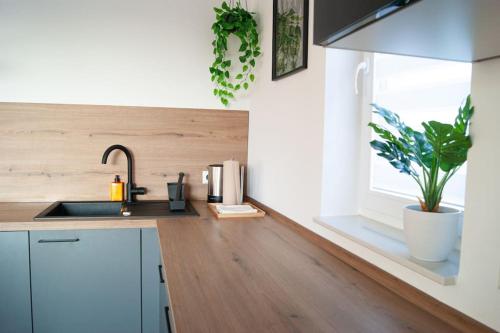 Studio Apartment Marbach 2
