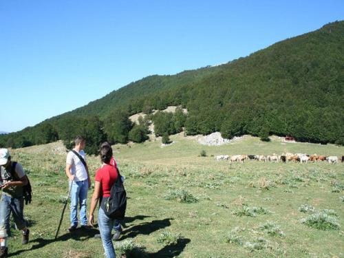 B&B Sole del Pollino