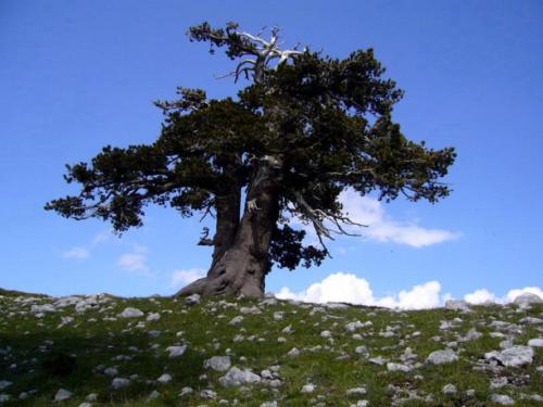 B&B Sole del Pollino