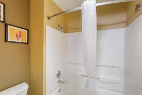 Comfort Inn Green Valley I-19 - image 13