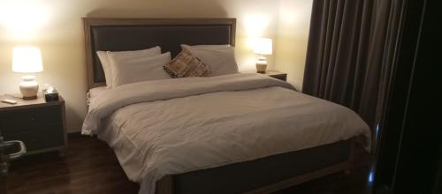 1 Bed Room Suite Elysium Tower-Opposite Centaurus Mall Islamabad - main image