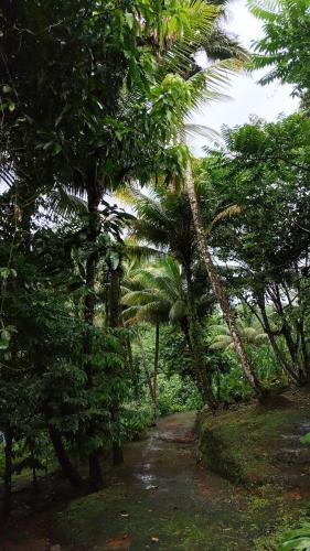 Camping à la ferme Camping à la ferme