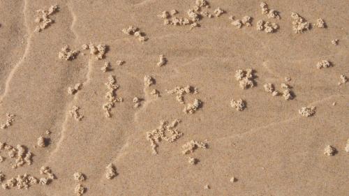 Bundle Hill Cottages